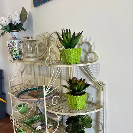 Casa de Férias Casa Calandra